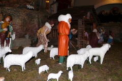 Anno  2011