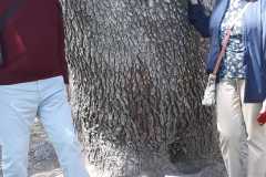 IMG-20210424-WA0009