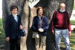 giardino-dei-giusti-villa-bottini-intitolazione-alberi-306921